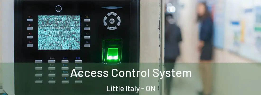  Access Control System Little Italy - ON