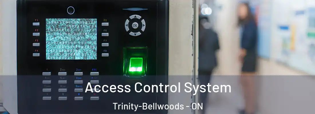  Access Control System Trinity-Bellwoods - ON