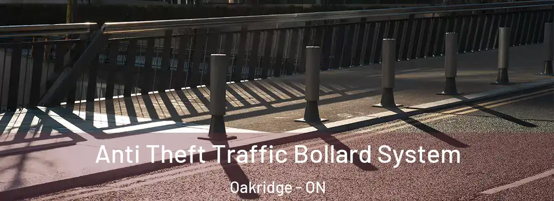  Anti Theft Traffic Bollard System Oakridge - ON
