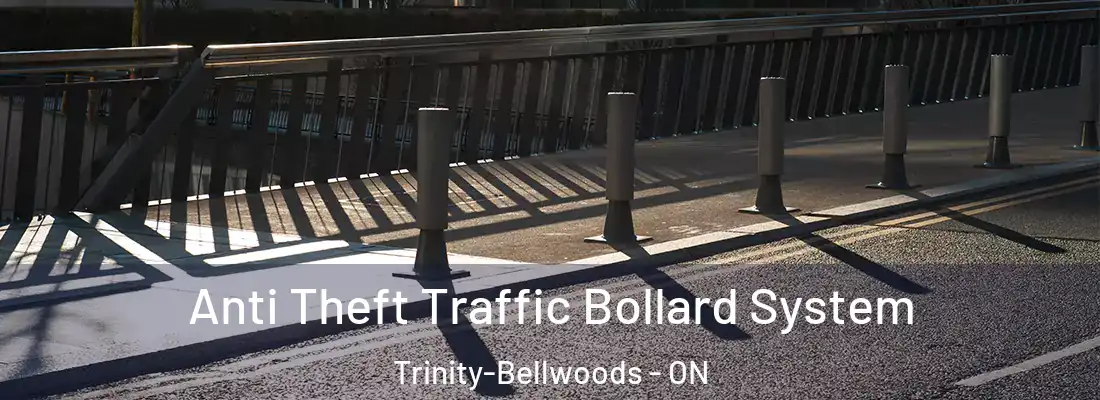  Anti Theft Traffic Bollard System Trinity-Bellwoods - ON