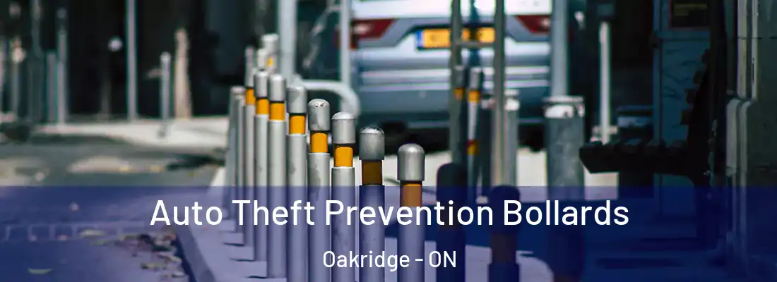  Auto Theft Prevention Bollards Oakridge - ON