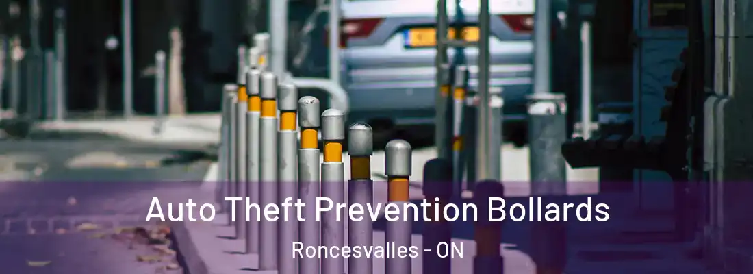  Auto Theft Prevention Bollards Roncesvalles - ON