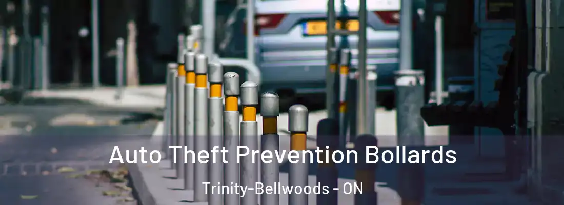  Auto Theft Prevention Bollards Trinity-Bellwoods - ON