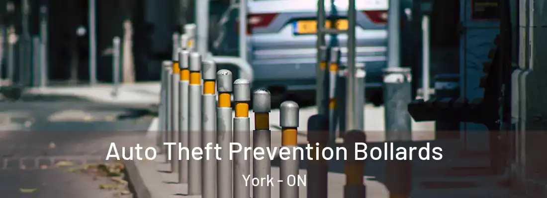  Auto Theft Prevention Bollards York - ON