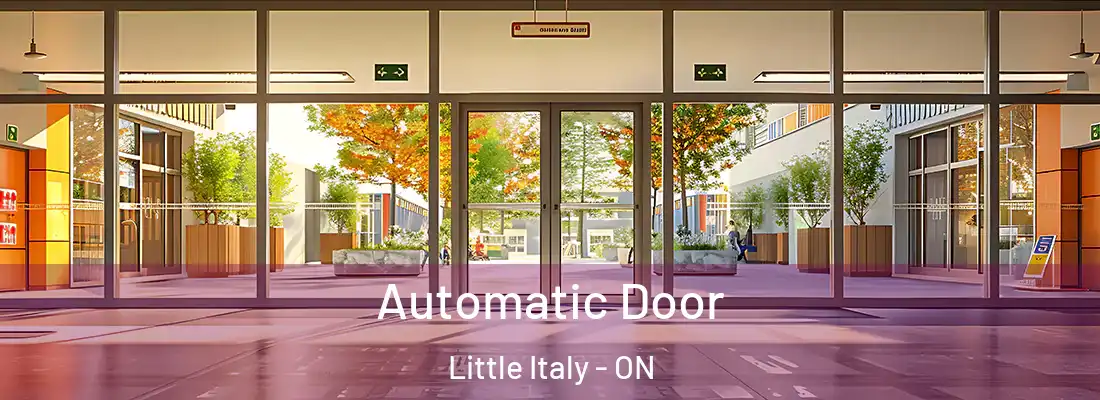  Automatic Door Little Italy - ON