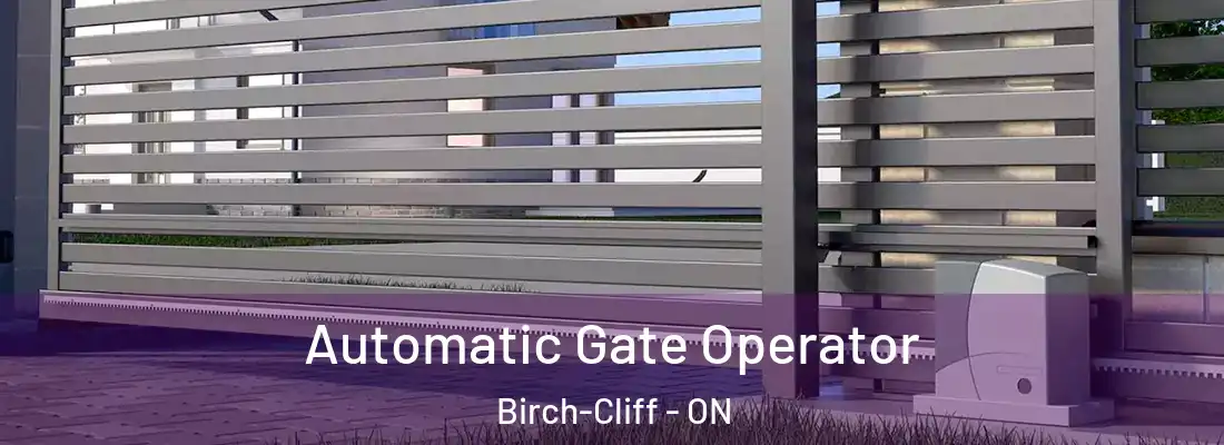  Automatic Gate Operator Birch-Cliff - ON