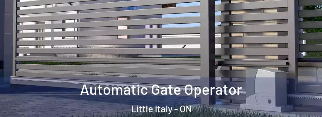  Automatic Gate Operator Little Italy - ON