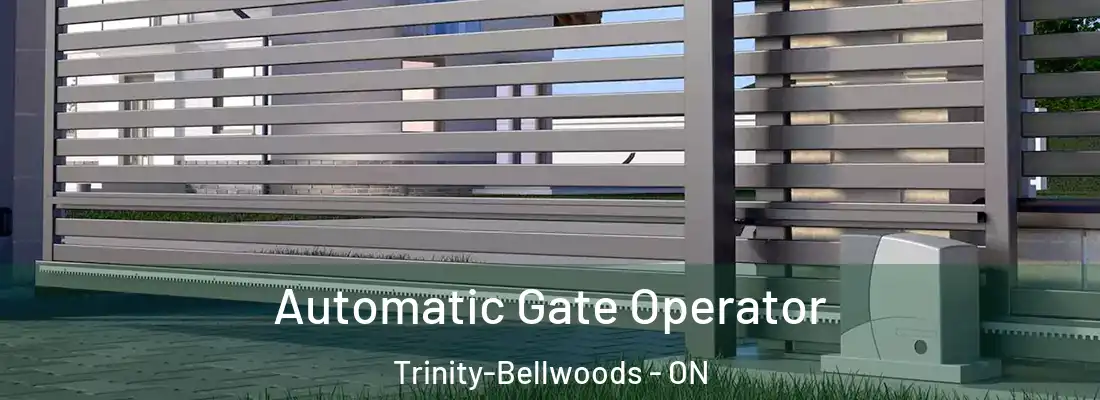 Automatic Gate Operator Trinity-Bellwoods - ON