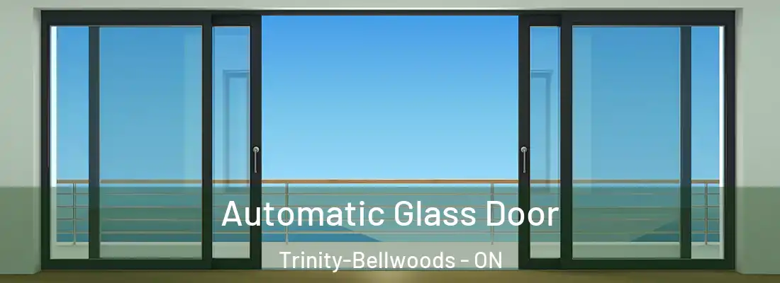  Automatic Glass Door Trinity-Bellwoods - ON