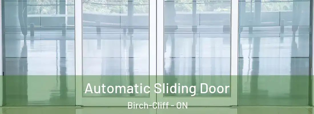  Automatic Sliding Door Birch-Cliff - ON