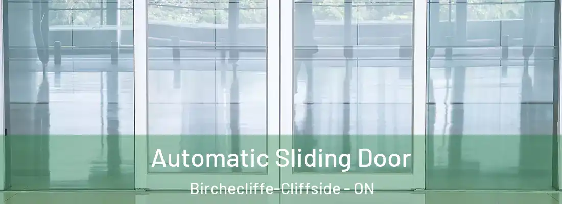  Automatic Sliding Door Birchecliffe-Cliffside - ON