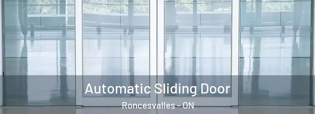  Automatic Sliding Door Roncesvalles - ON