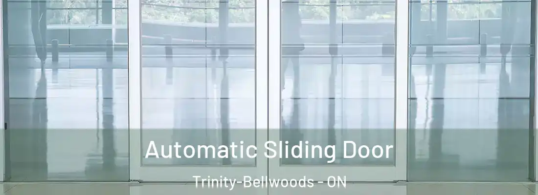  Automatic Sliding Door Trinity-Bellwoods - ON