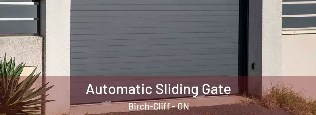  Automatic Sliding Gate Birch-Cliff - ON