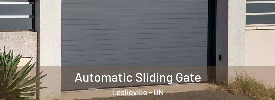  Automatic Sliding Gate Leslieville - ON