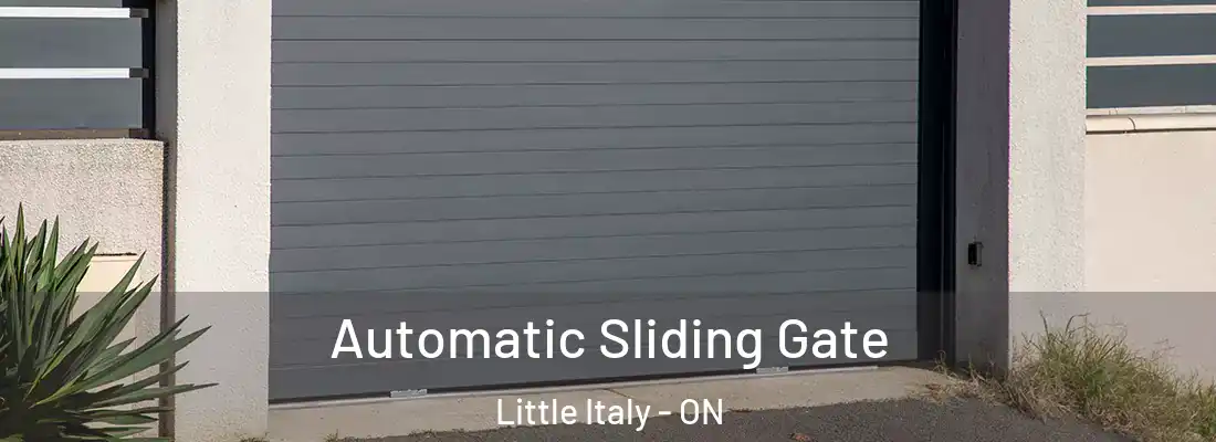  Automatic Sliding Gate Little Italy - ON