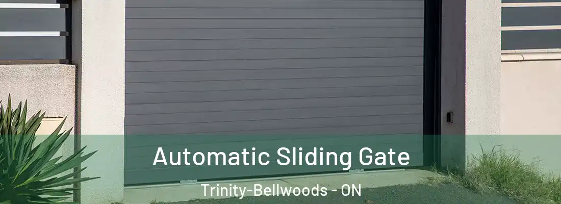  Automatic Sliding Gate Trinity-Bellwoods - ON