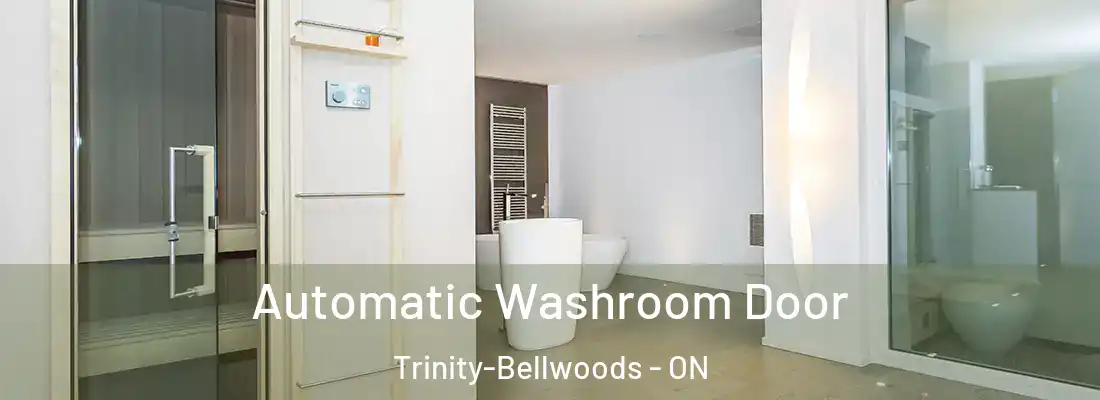  Automatic Washroom Door Trinity-Bellwoods - ON