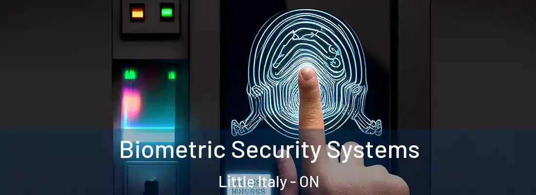  Biometric Security Systems Little Italy - ON
