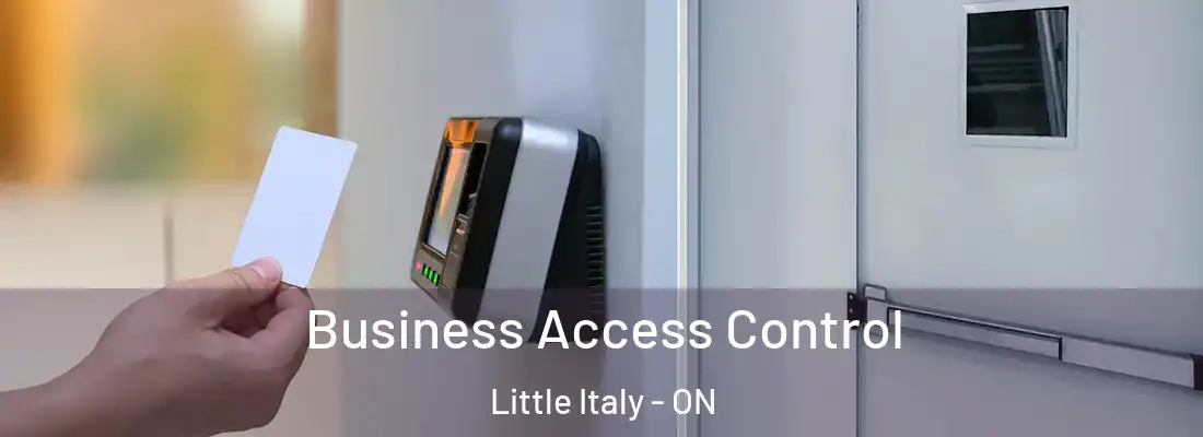  Business Access Control Little Italy - ON