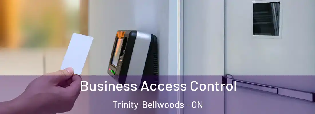  Business Access Control Trinity-Bellwoods - ON