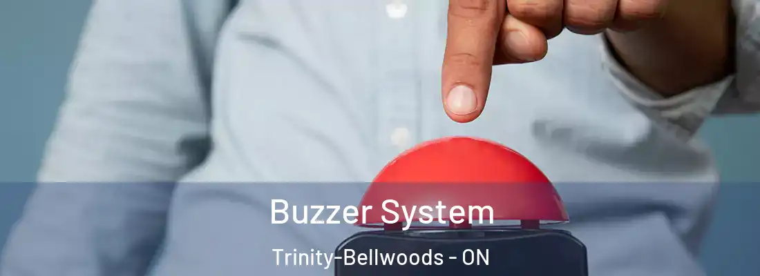  Buzzer System Trinity-Bellwoods - ON