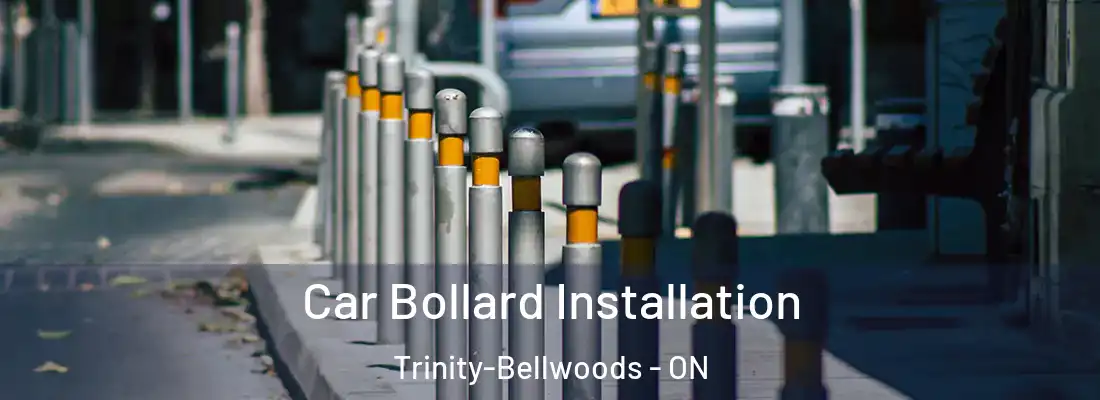  Car Bollard Installation Trinity-Bellwoods - ON