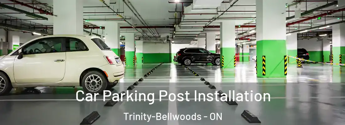  Car Parking Post Installation Trinity-Bellwoods - ON