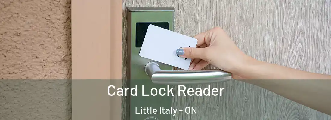  Card Lock Reader Little Italy - ON