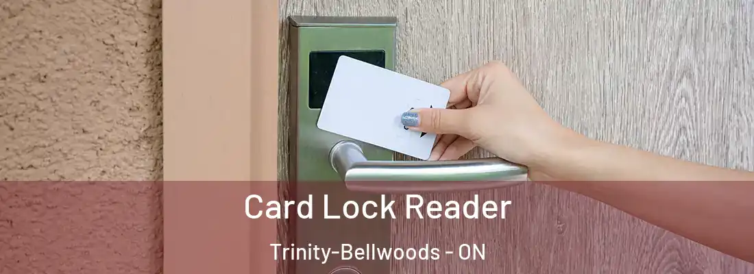  Card Lock Reader Trinity-Bellwoods - ON