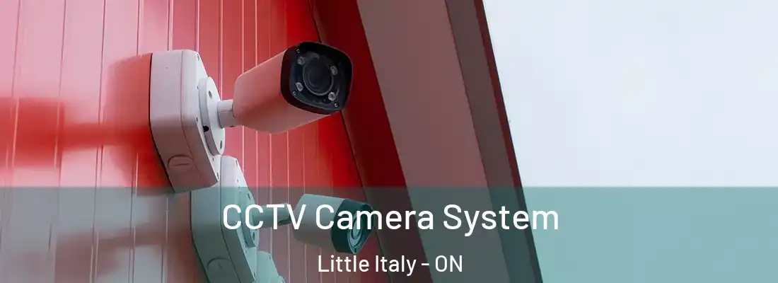  CCTV Camera System Little Italy - ON