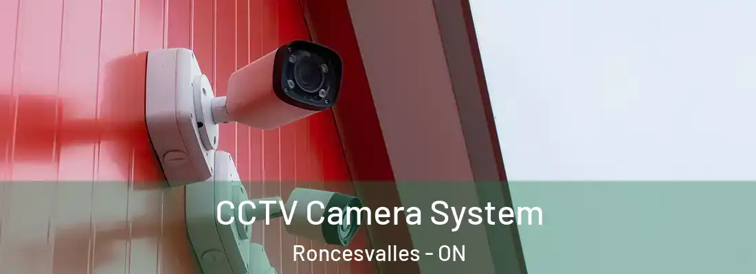  CCTV Camera System Roncesvalles - ON