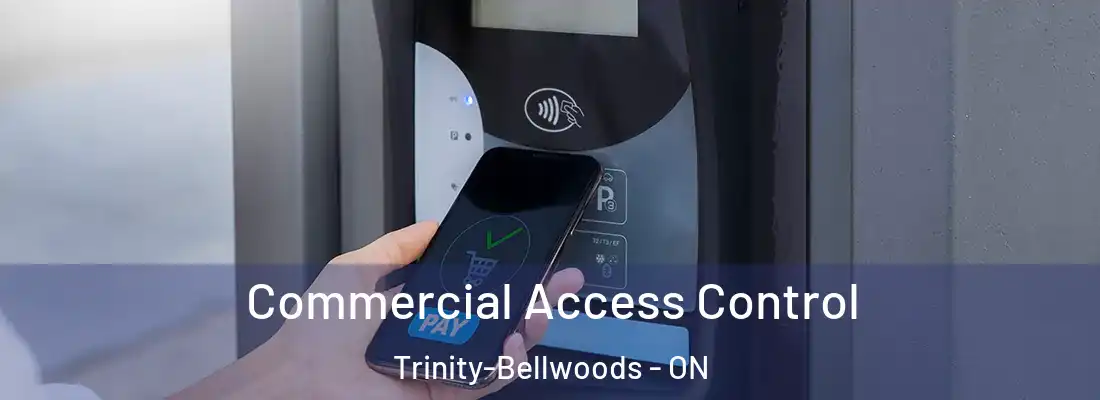  Commercial Access Control Trinity-Bellwoods - ON