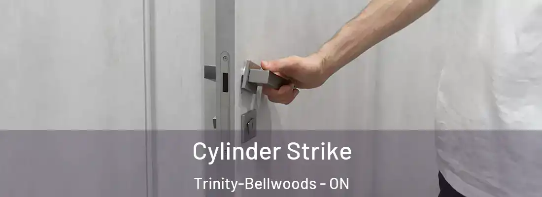  Cylinder Strike Trinity-Bellwoods - ON