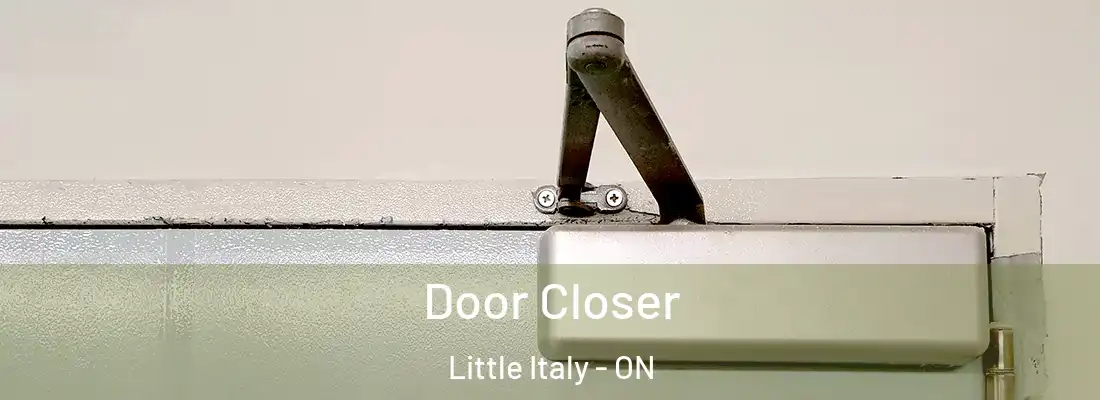  Door Closer Little Italy - ON