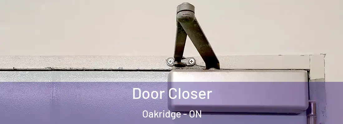  Door Closer Oakridge - ON