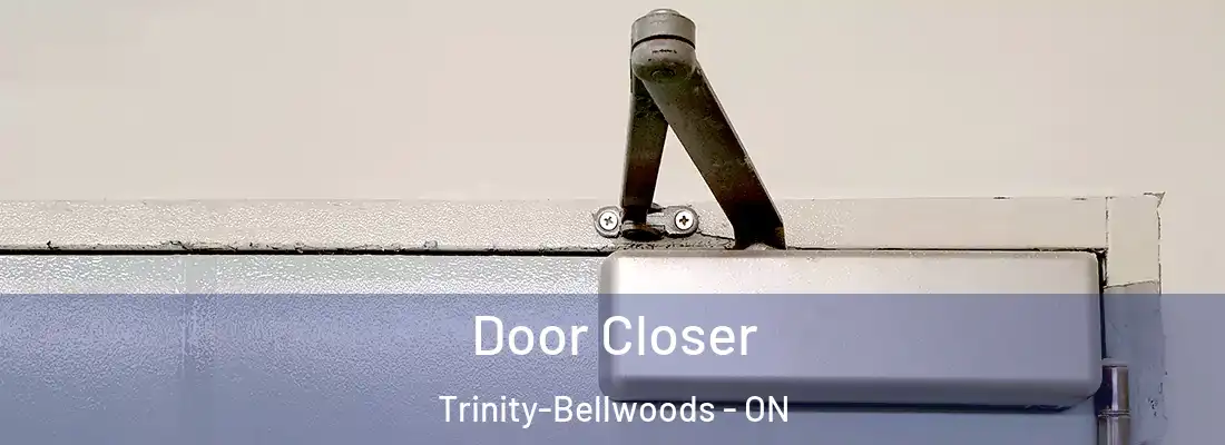  Door Closer Trinity-Bellwoods - ON