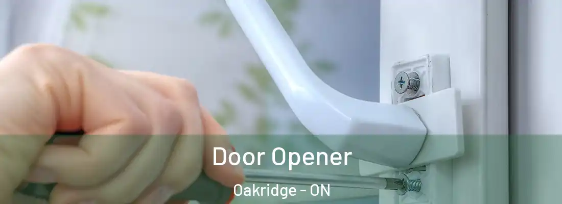  Door Opener Oakridge - ON
