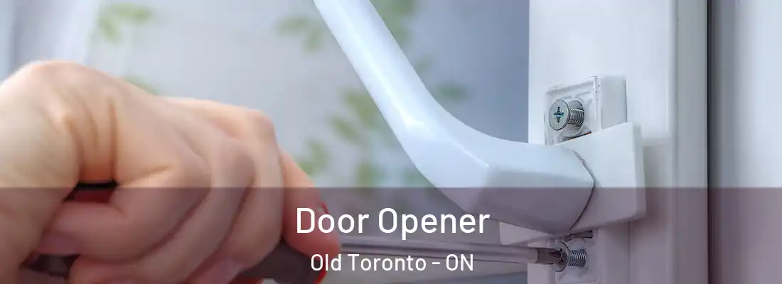  Door Opener Old Toronto - ON