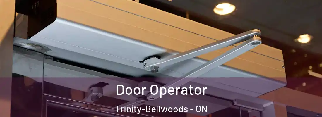  Door Operator Trinity-Bellwoods - ON