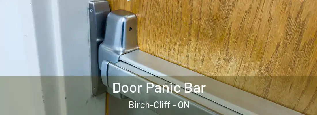 Door Panic Bar Birch-Cliff - ON