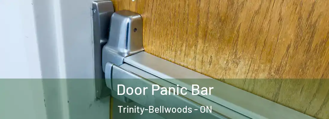  Door Panic Bar Trinity-Bellwoods - ON