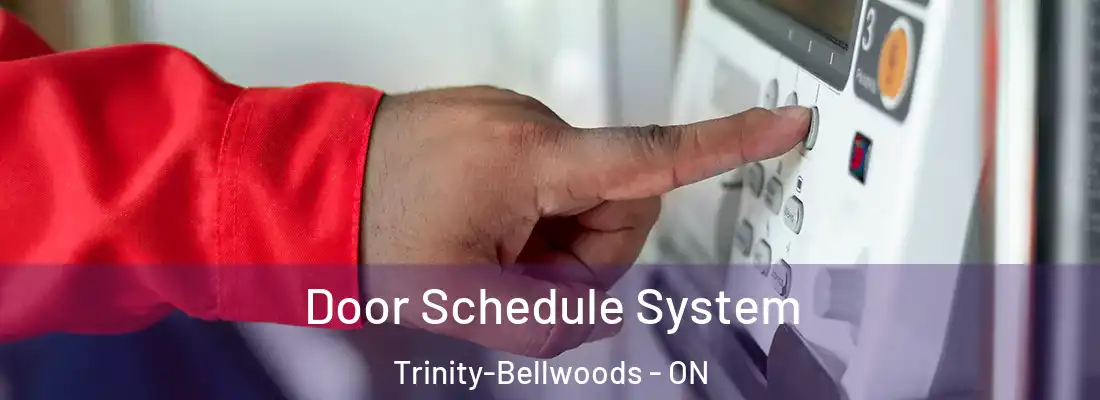  Door Schedule System Trinity-Bellwoods - ON