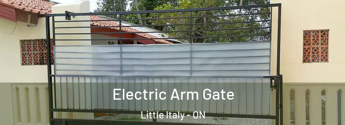  Electric Arm Gate Little Italy - ON