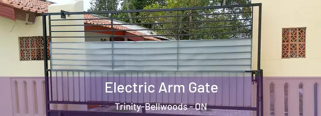  Electric Arm Gate Trinity-Bellwoods - ON