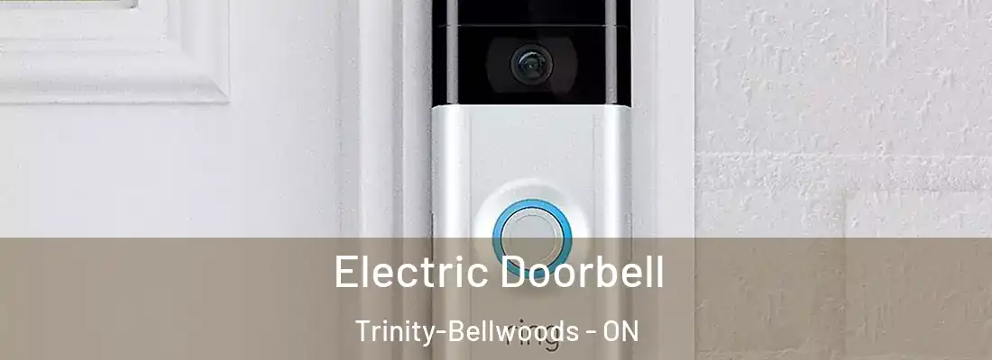  Electric Doorbell Trinity-Bellwoods - ON