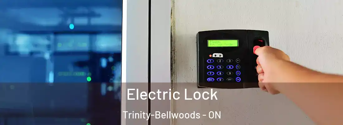  Electric Lock Trinity-Bellwoods - ON