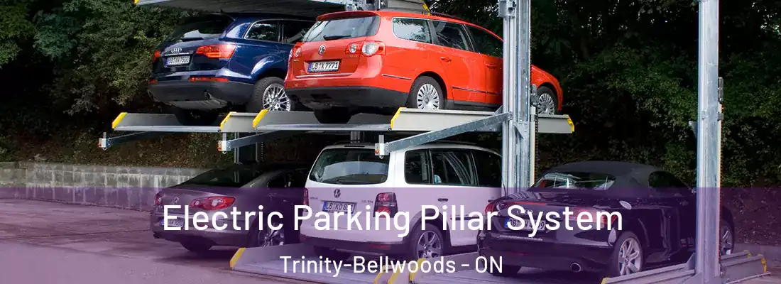  Electric Parking Pillar System Trinity-Bellwoods - ON