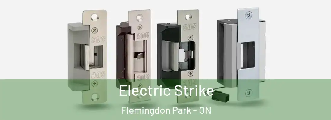  Electric Strike Flemingdon Park - ON