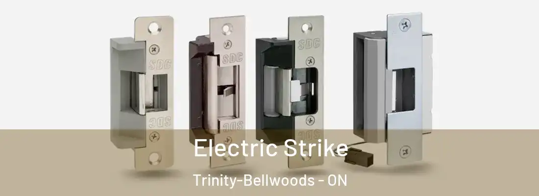  Electric Strike Trinity-Bellwoods - ON